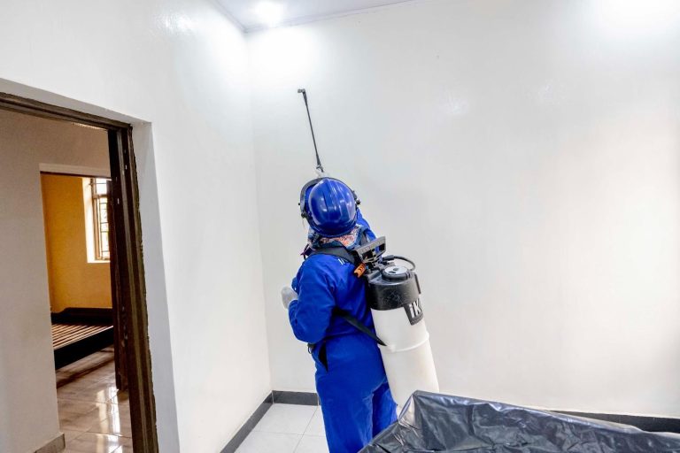 54892240826_bd9583b527_o2