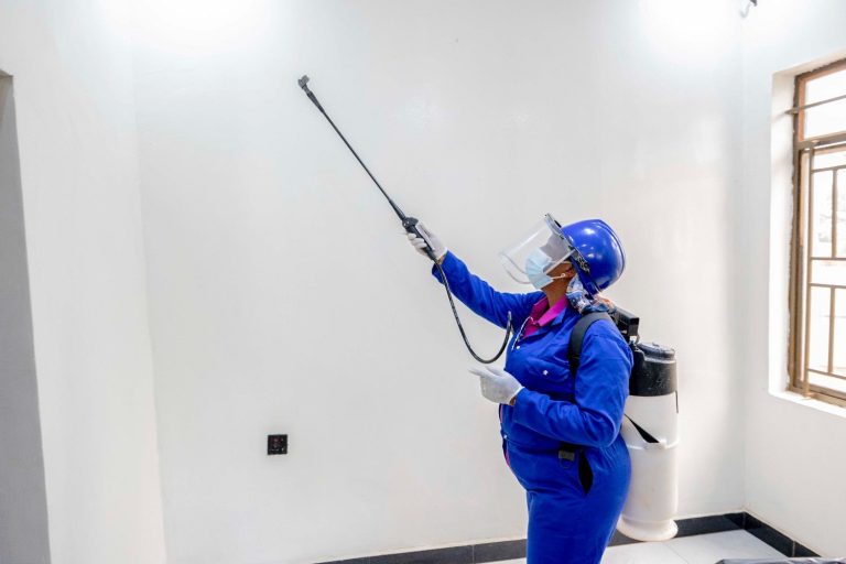 54892463748_26debece82_o